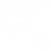 icon hol-und bringservice